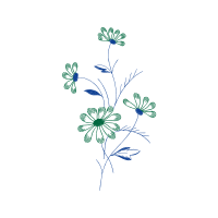 M 02Csf Wedding M 02Csf Wedding