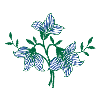 M 02Csf Wedding M 02Csf Wedding