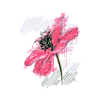 M 02Csf Wedding M 02Csf Wedding