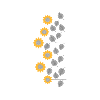 M 02Csf Wedding M 02Csf Wedding