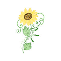 Machine Wedding Machine Wedding