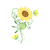 Machine Wedding Machine Wedding