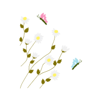 Marguerite Daisy Wedding