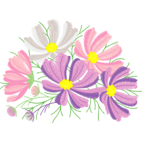 Marguerite Daisy Wedding Marguerite Daisy Wedding