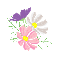 Marguerite Daisy Wedding Marguerite Daisy Wedding