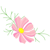 Marguerite Daisy Wedding Marguerite Daisy Wedding