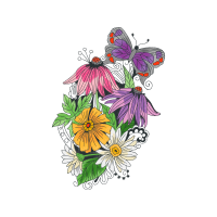 Marguerite Daisy Wedding