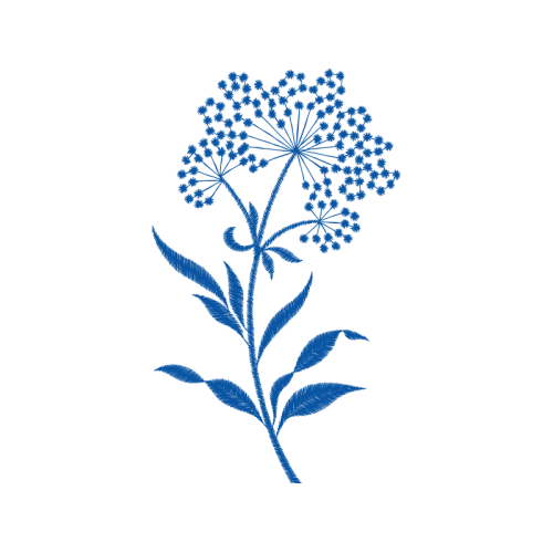 May Wedding May Wedding