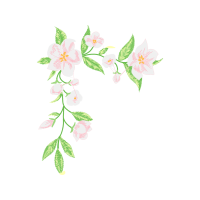 Meadowsweets Wedding