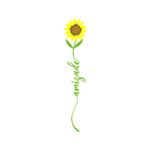 Meter Wedding Meter Wedding