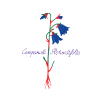 Meter Wedding Meter Wedding