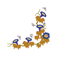 Meter Wedding Meter Wedding