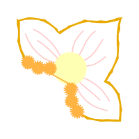 Meter Wedding Meter Wedding