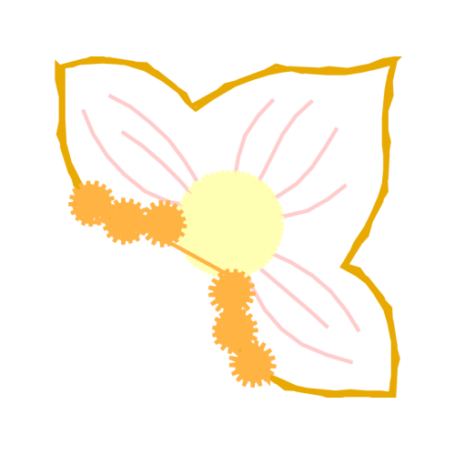 Meter Wedding Meter Wedding