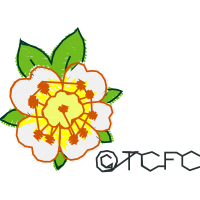 Meter Wedding Meter Wedding