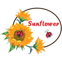 Meter Wedding Meter Wedding