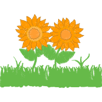 Meter Wedding Meter Wedding