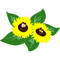 Milkweeds Wedding Milkweeds Wedding