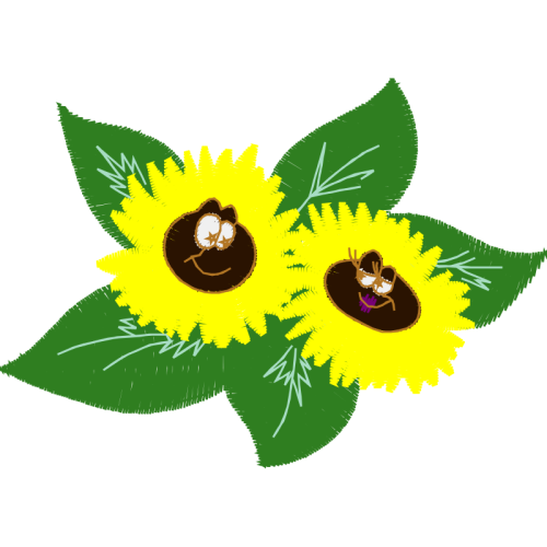 Milkweeds Wedding Milkweeds Wedding