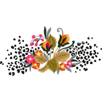 Mimosa Wedding Mimosa Wedding