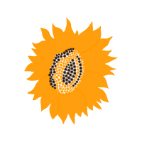 Moe S Italian Sandwiches Wedding Moe S Italian Sandwiches Wedding