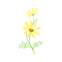 Moneybase Wedding Moneybase Wedding