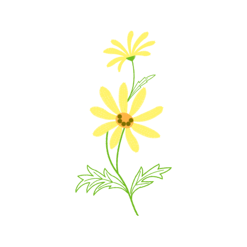 Moneybase Wedding Moneybase Wedding