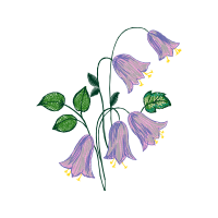 Monocotyledon Wedding Monocotyledon Wedding