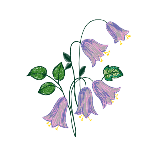 Monocotyledon Wedding Monocotyledon Wedding