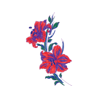 Monocotyledon Wedding