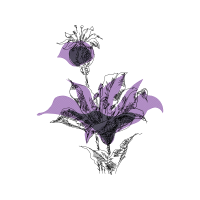 Monocotyledon Wedding