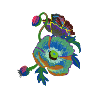 Morning Glory Wedding Morning Glory Wedding