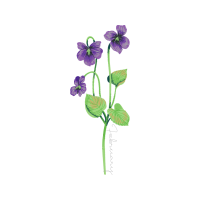 Moth Orchids Wedding