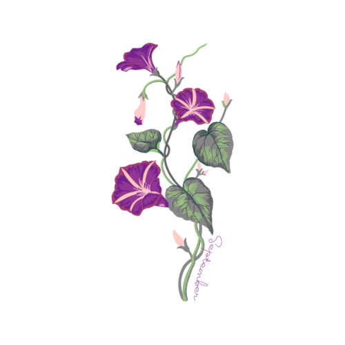 Moth Orchids Wedding Moth Orchids Wedding