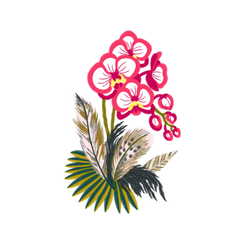 Moth Orchids Wedding Moth Orchids Wedding