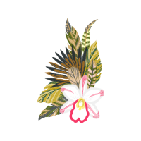 Moth Orchids Wedding