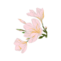 Moth Orchids Wedding