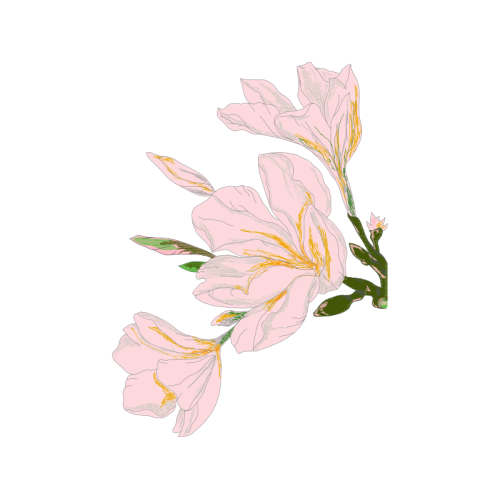 Moth Orchids Wedding Moth Orchids Wedding