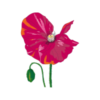 Moth Orchids Wedding