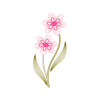 Moth Orchids Wedding Moth Orchids Wedding