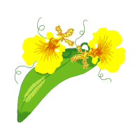 Moth Orchids Wedding