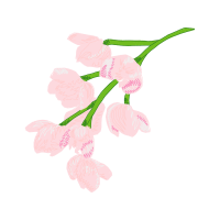 Moth Orchids Wedding