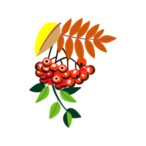 Mountain Ash Wedding Mountain Ash Wedding