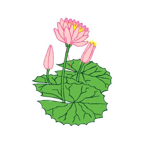 Mtn Group Wedding Mtn Group Wedding