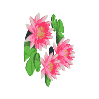 Mtn Group Wedding Mtn Group Wedding