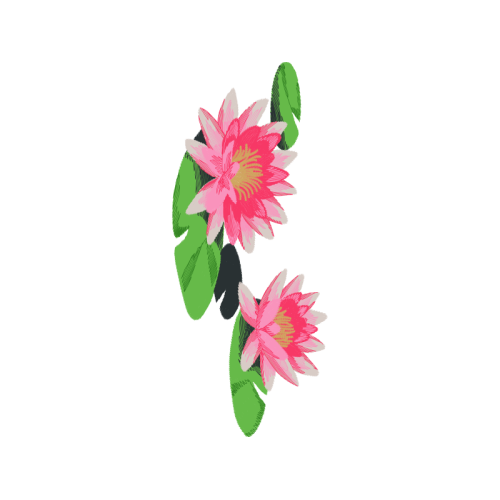 Mtn Group Wedding Mtn Group Wedding