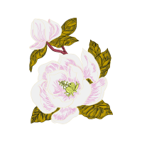 Mtn Group Wedding Mtn Group Wedding