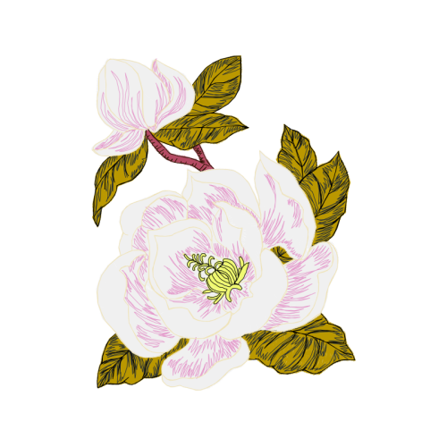 Mtn Group Wedding Mtn Group Wedding