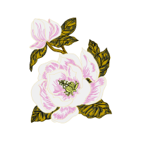 Mtn Group Wedding Mtn Group Wedding