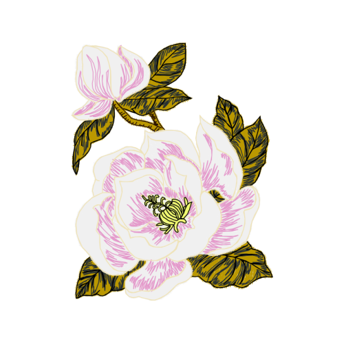 Mtn Group Wedding Mtn Group Wedding